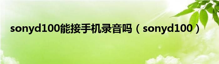 sonyd100能接手機(jī)錄音嗎（sonyd100）