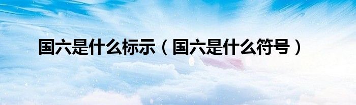 國六是什么標(biāo)示（國六是什么符號）
