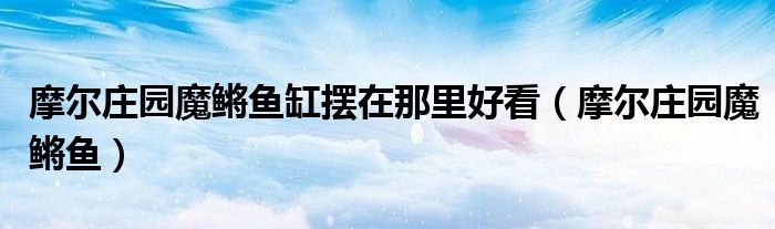 摩爾莊園魔鳉魚缸擺在那里好看（摩爾莊園魔鳉魚）