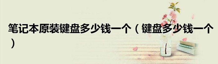 筆記本原裝鍵盤(pán)多少錢(qián)一個(gè)（鍵盤(pán)多少錢(qián)一個(gè)）