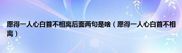 愿得一人心白首不相離后面兩句是啥（愿得一人心白首不相離）