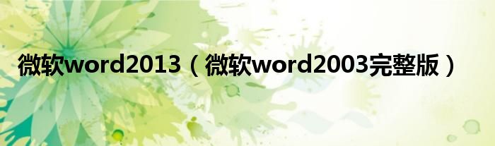 微軟word2013（微軟word2003完整版）