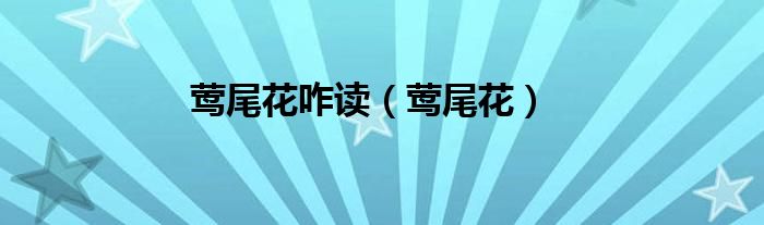 鶯尾花咋讀（鶯尾花）