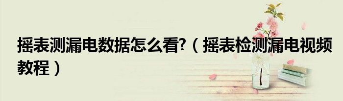 搖表測(cè)漏電數(shù)據(jù)怎么看?（搖表檢測(cè)漏電視頻教程）