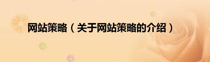 網(wǎng)站策略（關(guān)于網(wǎng)站策略的介紹）