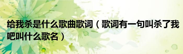 給我殺是什么歌曲歌詞（歌詞有一句叫殺了我吧叫什么歌名）