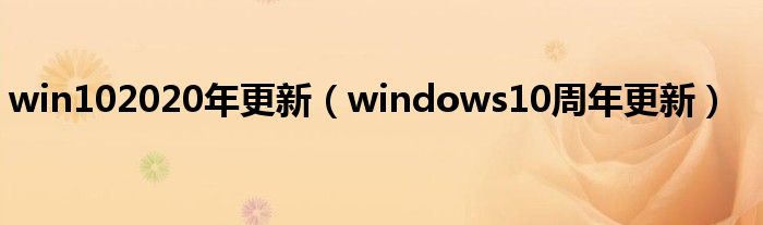 win102020年更新（windows10周年更新）