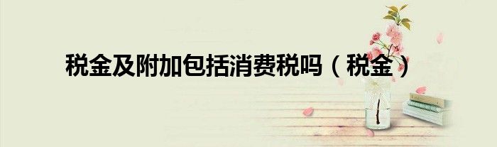 稅金及附加包括消費(fèi)稅嗎（稅金）