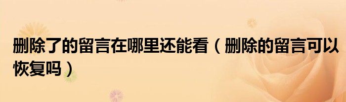 刪除了的留言在哪里還能看（刪除的留言可以恢復(fù)嗎）