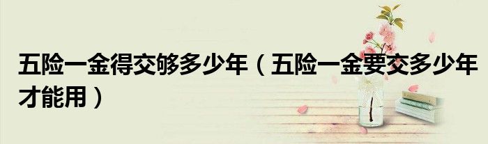 五險(xiǎn)一金得交夠多少年（五險(xiǎn)一金要交多少年才能用）