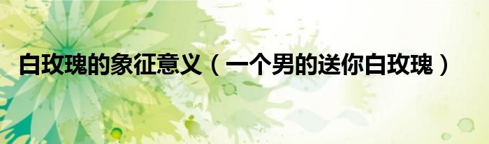 白玫瑰的象征意義（一個男的送你白玫瑰）