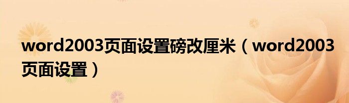 word2003頁面設(shè)置磅改厘米（word2003頁面設(shè)置）