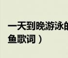 一天到晚游泳的魚歌詞達意（一天到晚游泳的魚歌詞）