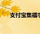 支付寶集福字新玩法（支付寶集福字）