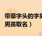 帶草字頭的字男孩取名兔寶寶（帶草字頭的字男孩取名）