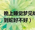 晚上睡覺夢見蛇是好事還是壞事（晚上做夢夢到蛇好不好）