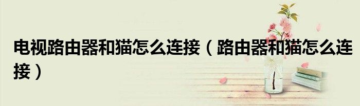 電視路由器和貓?jiān)趺催B接（路由器和貓?jiān)趺催B接）