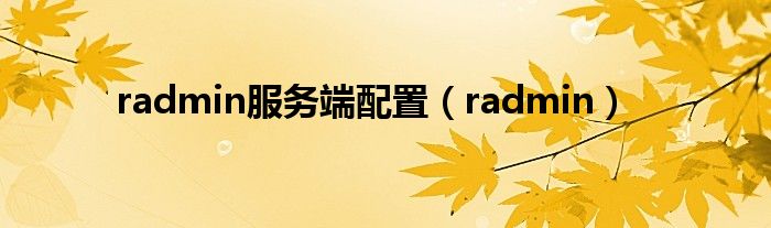 radmin服務(wù)端配置（radmin）
