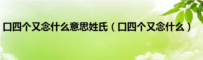 口四個又念什么意思姓氏（口四個又念什么）