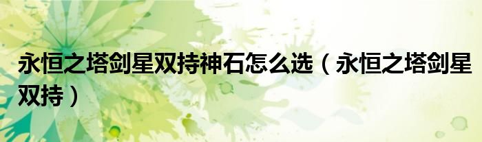 永恒之塔劍星雙持神石怎么選（永恒之塔劍星雙持）