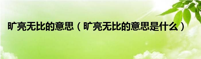 曠亮無比的意思（曠亮無比的意思是什么）