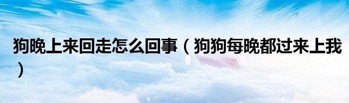 狗晚上來回走怎么回事（狗狗每晚都過來上我）