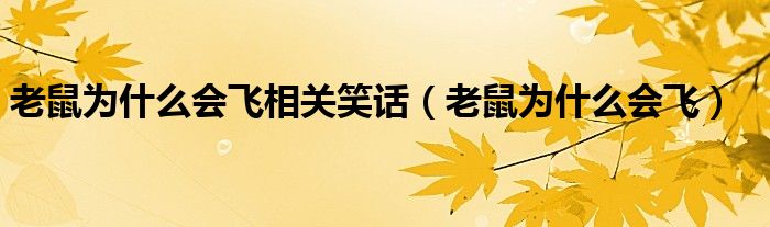 老鼠為什么會(huì)飛相關(guān)笑話(huà)（老鼠為什么會(huì)飛）