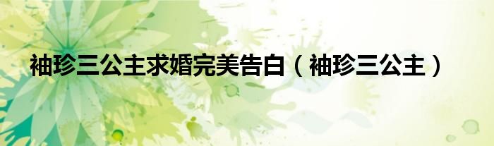 袖珍三公主求婚完美告白（袖珍三公主）