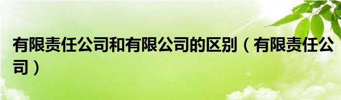 有限責任公司和有限公司的區(qū)別（有限責任公司）