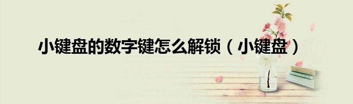 小鍵盤的數(shù)字鍵怎么解鎖（小鍵盤）