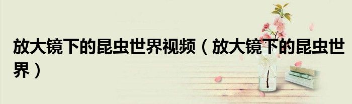 放大鏡下的昆蟲世界視頻（放大鏡下的昆蟲世界）