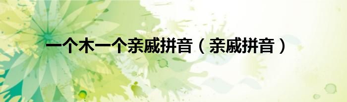一個木一個親戚拼音（親戚拼音）