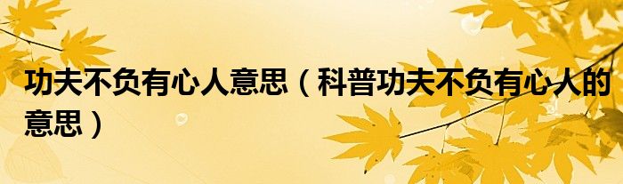 功夫不負(fù)有心人意思（科普功夫不負(fù)有心人的意思）