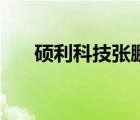碩利科技張鵬去哪了（碩利科技張鵬）