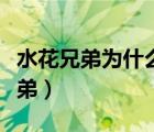 水花兄弟為什么叫水花兄弟（為什么叫水花兄弟）