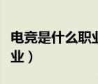 電競是什么職業(yè)收入能有多少（電競是什么職業(yè)）
