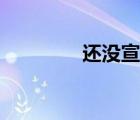 還沒宣布英語（宣布英語）