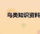 鳥類知識資料七年級（鳥類知識的資料）