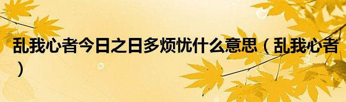 亂我心者今日之日多煩憂什么意思（亂我心者）