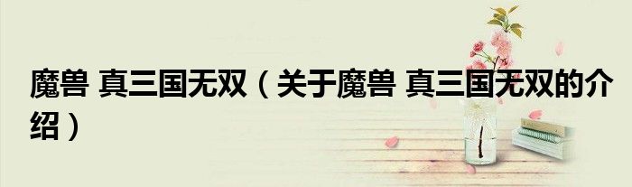 魔獸 真三國無雙（關(guān)于魔獸 真三國無雙的介紹）