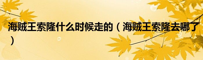 海賊王索隆什么時候走的（海賊王索隆去哪了）