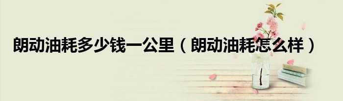 朗動油耗多少錢一公里（朗動油耗怎么樣）