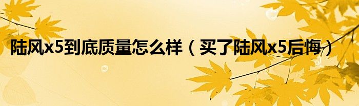 陸風(fēng)x5到底質(zhì)量怎么樣（買了陸風(fēng)x5后悔）