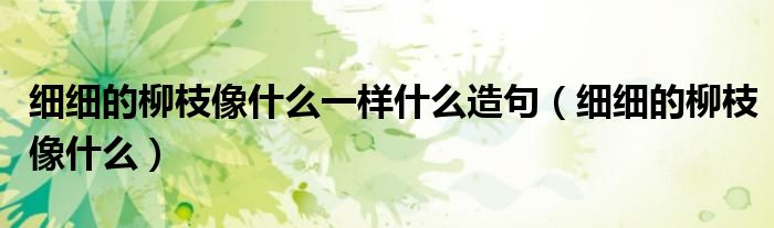 細(xì)細(xì)的柳枝像什么一樣什么造句（細(xì)細(xì)的柳枝像什么）