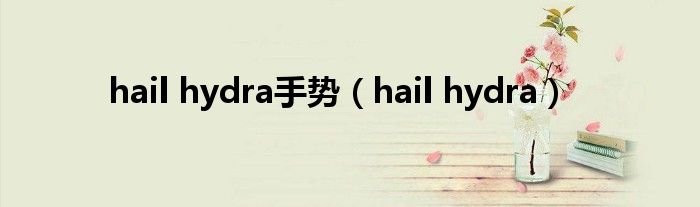 hail hydra手勢(shì)（hail hydra）