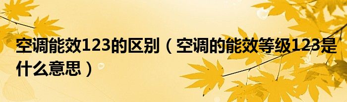 空調(diào)能效123的區(qū)別（空調(diào)的能效等級123是什么意思）