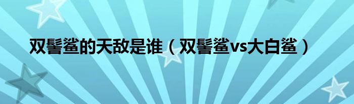 雙髻鯊的天敵是誰（雙髻鯊vs大白鯊）