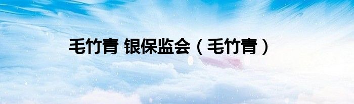 毛竹青 銀保監(jiān)會（毛竹青）