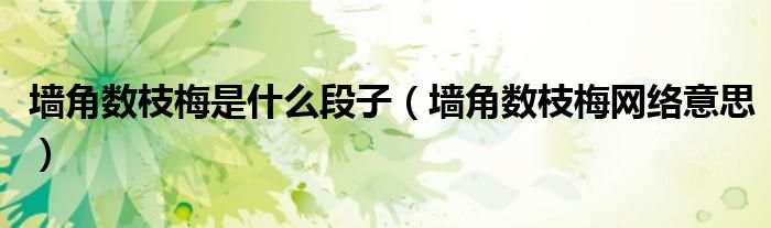 墻角數(shù)枝梅是什么段子（墻角數(shù)枝梅網(wǎng)絡(luò)意思）