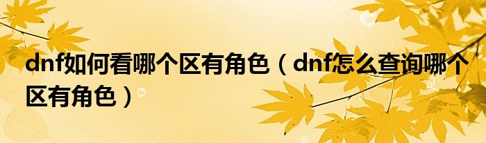 dnf如何看哪個(gè)區(qū)有角色（dnf怎么查詢哪個(gè)區(qū)有角色）